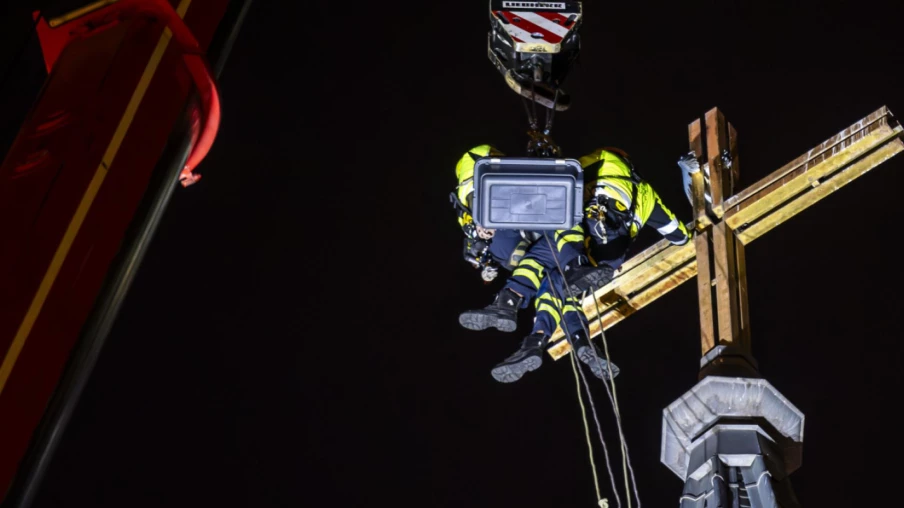 Goéland coincé dans la croix d'un clocher à Genève secouru