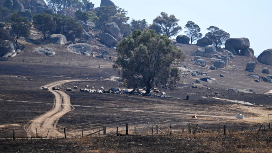 Feux de brousse dans le sud-est australien: un mort confirmé