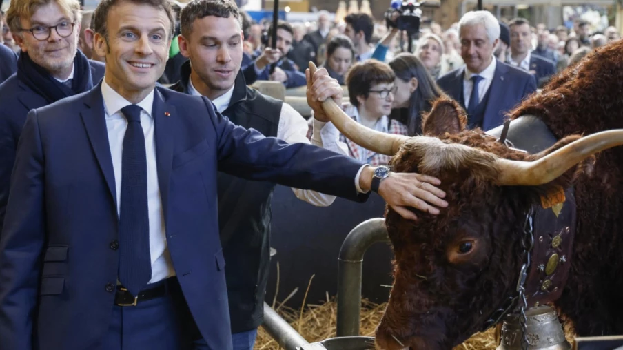 Pour la première fois, aucun bovin au Salon de l'agriculture
