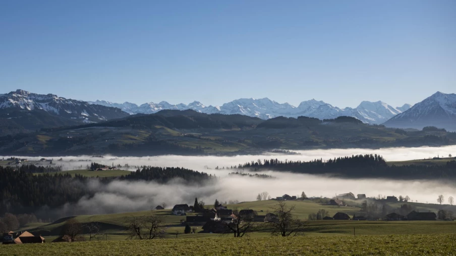 Biodiversité en Suisse : état bas et insatisfaisant, selon le Scnat