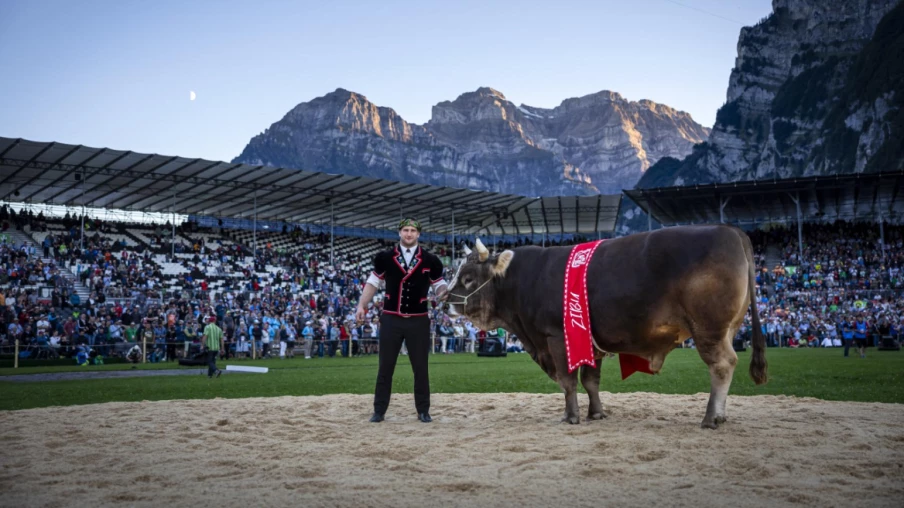 FFLS Mollis (GL) : comptes clos avec un résultat positif
