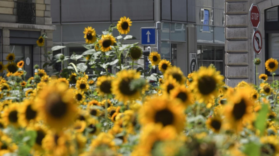 Fondation Etrillard lance un prix nature en ville en Suisse et France