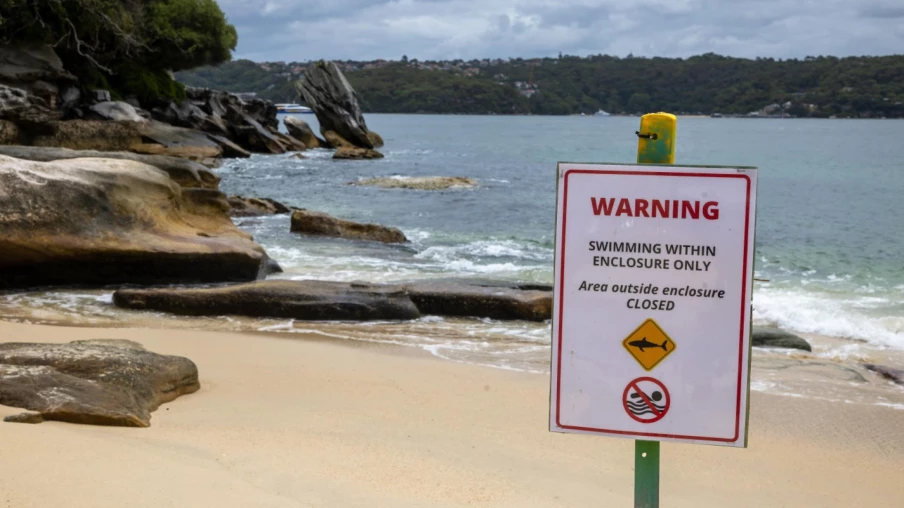 Baie de Sydney: un garçon de 12 ans meurt après une attaque de requin