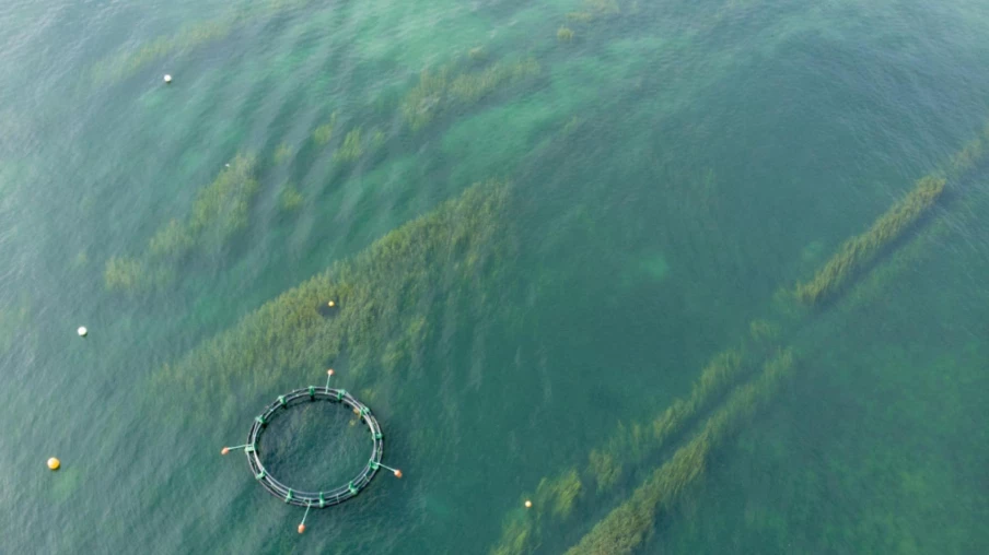 Le public pourra se confronter à la désertification dans le Léman