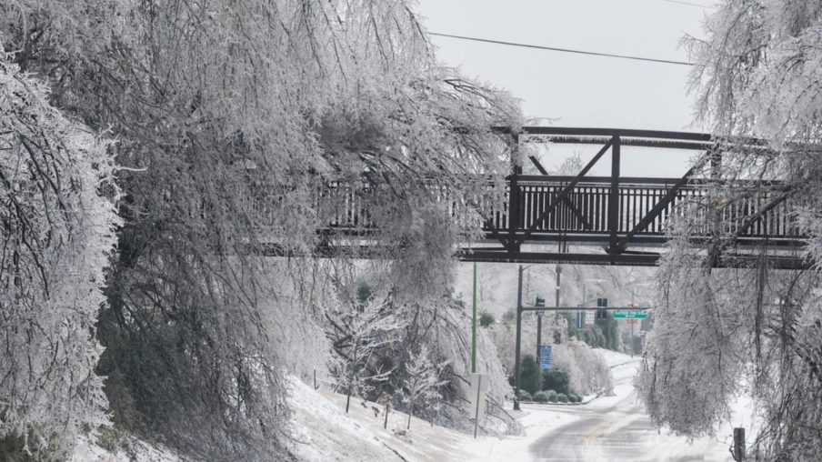 Froid polaire aux États-Unis : 30 morts et 530 000 sans électricité