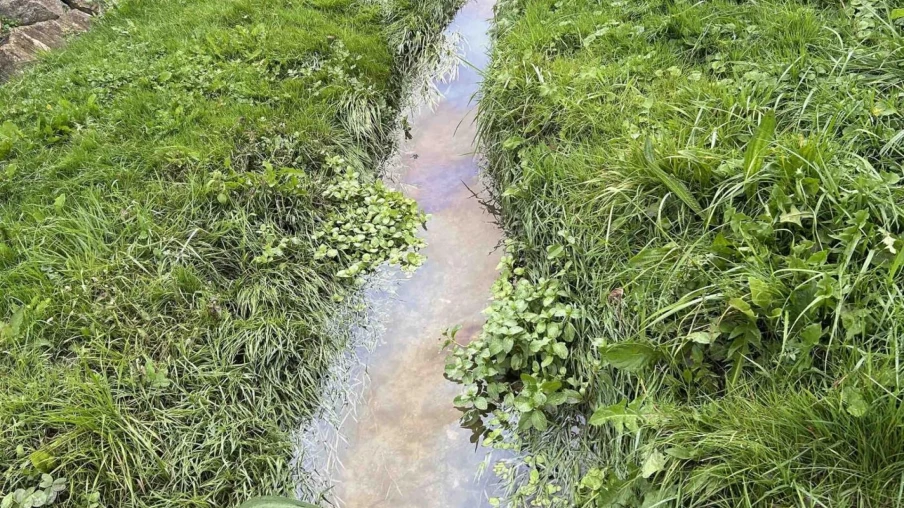 Pollution de la Sionge à Vaulruz: épandage de lisier, enquête ouverte