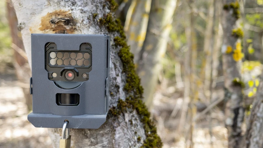 Pièges photographiques soumis à autorisation à Neuchâtel dès 1er mars