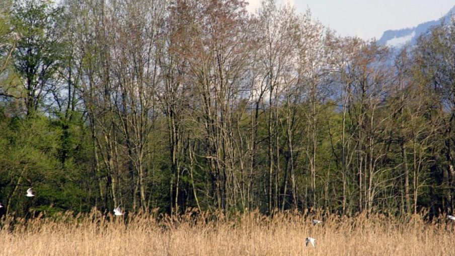 Nouveau pavillon d'accueil au Centre Nature des Grangettes à Noville