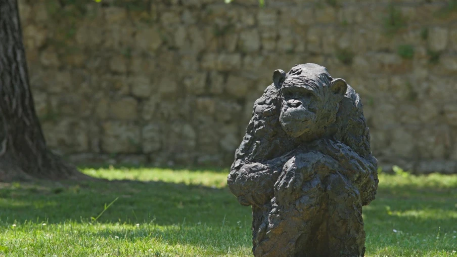 Exposition de Davide Rivalta à Neuchâtel: sculptures de grands singes
