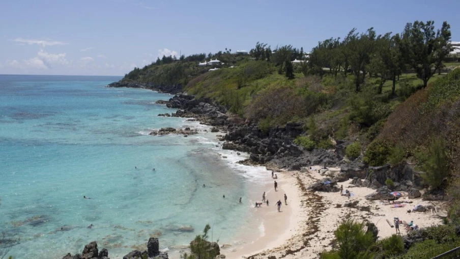 Escargot des Bermudes Poecilozonites bermudensis sauvé de l'extinction