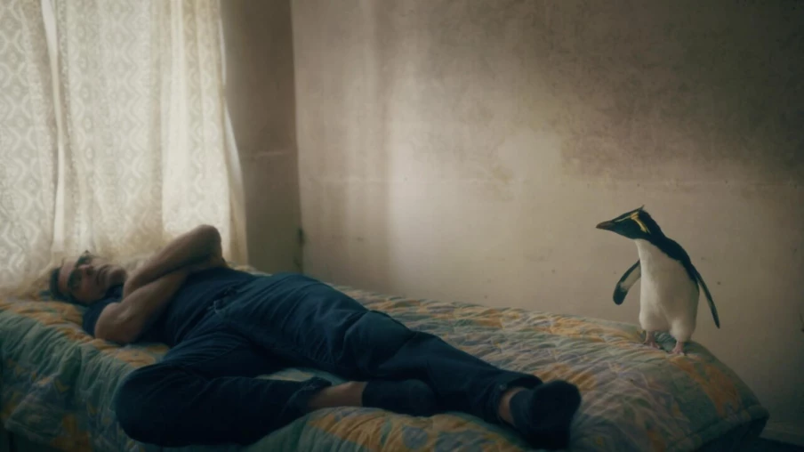 La Suisse à la Berlinale : forte présence dans la section Panorama