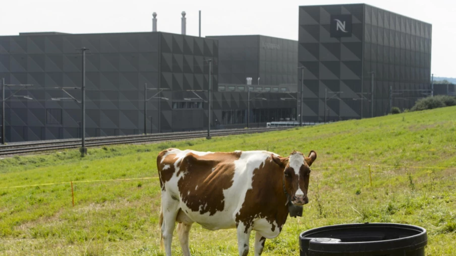 Cocaïne livrée chez Nespresso: trafiquants condamnés à 15 ans