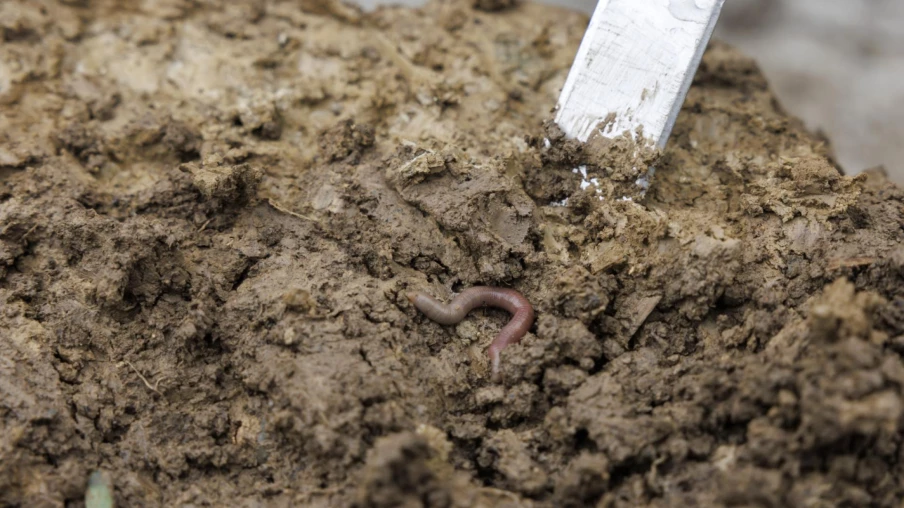 Agroscope lance la première station d'essais sur sols au Gros-de-Vaud