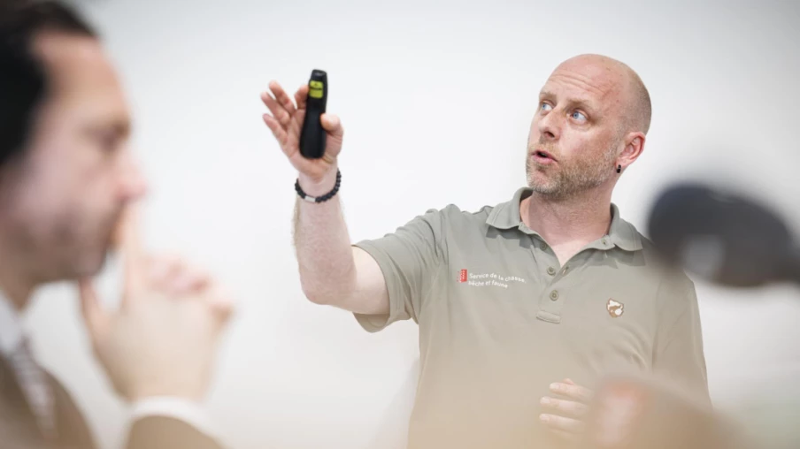 Valais: 4 postes de spécialistes du loup pour renforcer la gestion