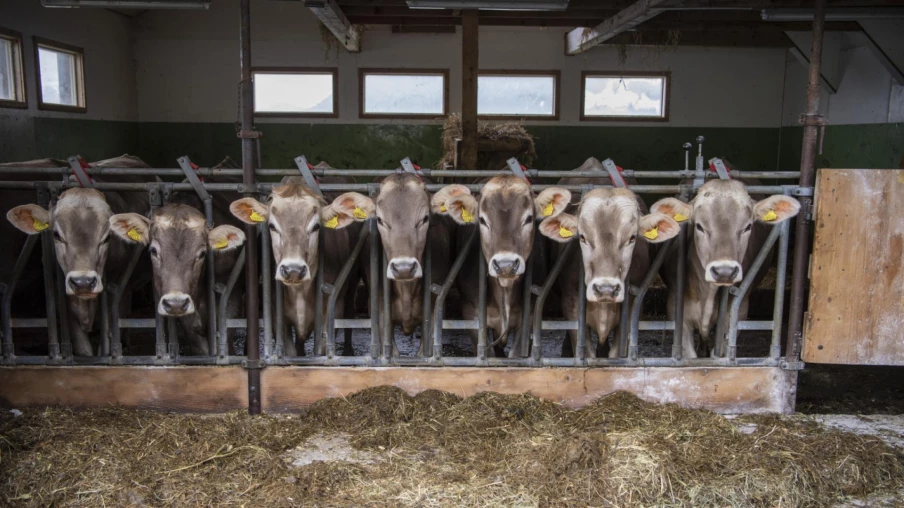 PA30+ : les axes du Conseil fédéral pour la sécurité alimentaire