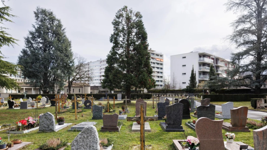 Mort et inégalités de genre : la semaine de l'égalité à Genève