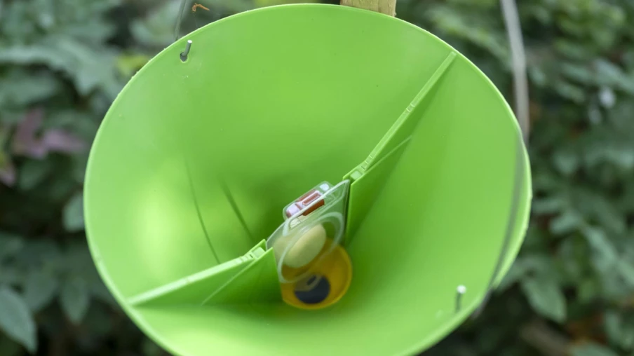 Valais renforce la lutte contre les nuisibles agricoles en 2026