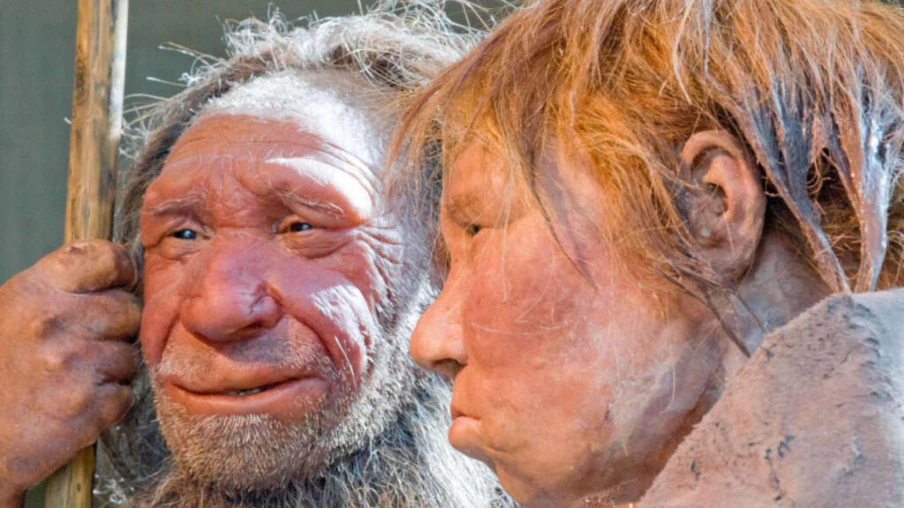 Étude: flux génétique surtout mâles néandertaliens vers femmes sapiens