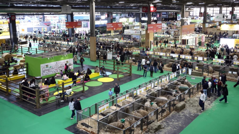Salon de l'agriculture 2026 : fréquentation en chute de 27,9%
