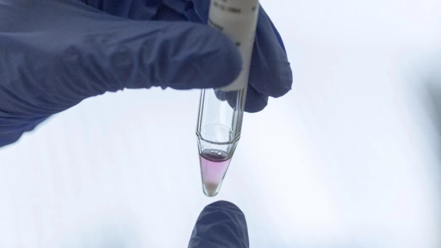 Adoption facilitée pour enfants suisses nés par don de sperme ou PMA