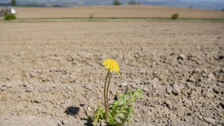 71% des Suisses rejettent l'initiative pour un fonds climat