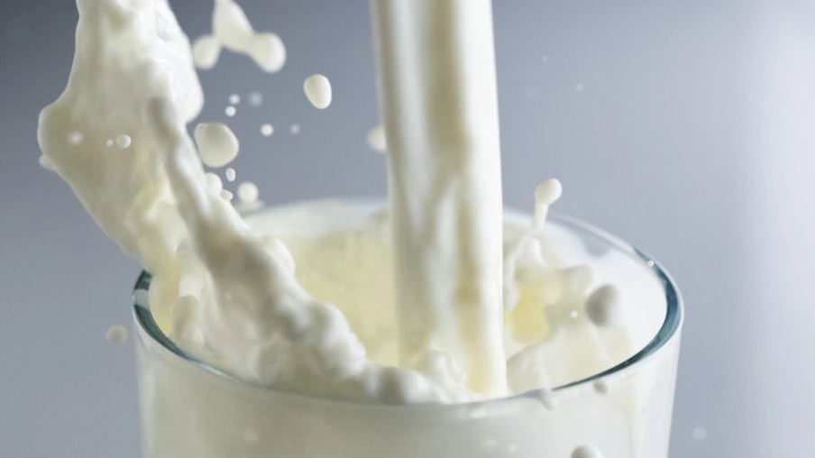 Jura bernois : producteurs de lait demandent soutien des distributeurs