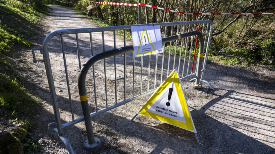 Pollution dans un ruisseau à Rathvel (FR) : plusieurs poissons morts
