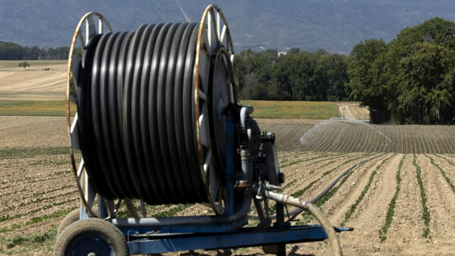 Genève crée des réseaux d'eau brute pour l'irrigation agricole