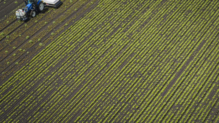 Interdiction du chlorothalonil en Suisse confirmée par le TAF