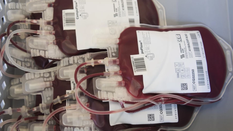 Suisse : record de 105 dons de cellules souches du sang en 2025