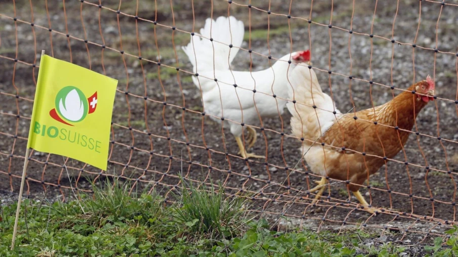 Marché bio suisse 2025 : 4,3 milliards et +2,8 %