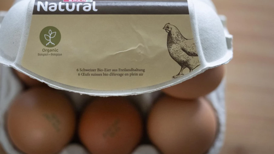 Importations d'œufs en Suisse à droits de douane réduits