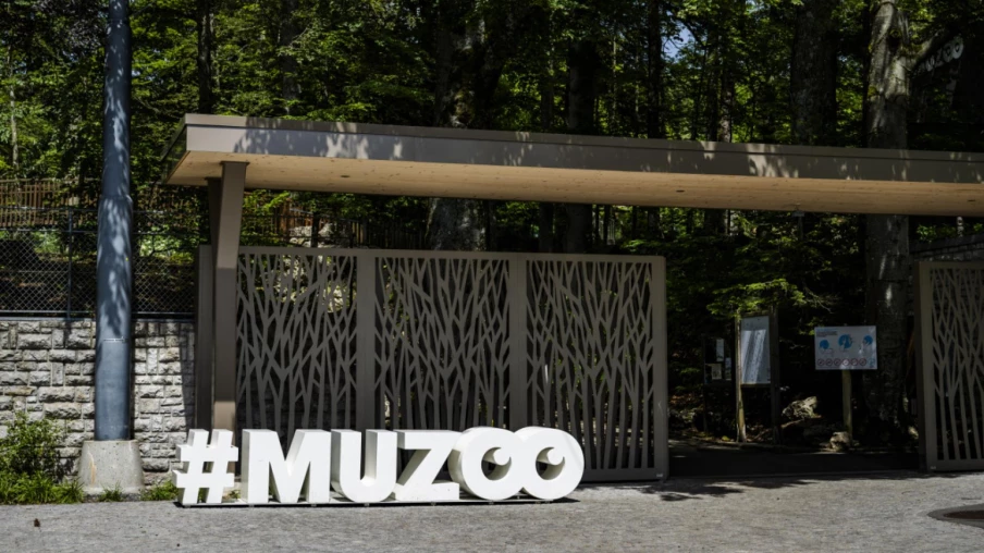 Neuchâtel : le Muzoo présente une enquête pour sauver le Joba Mena