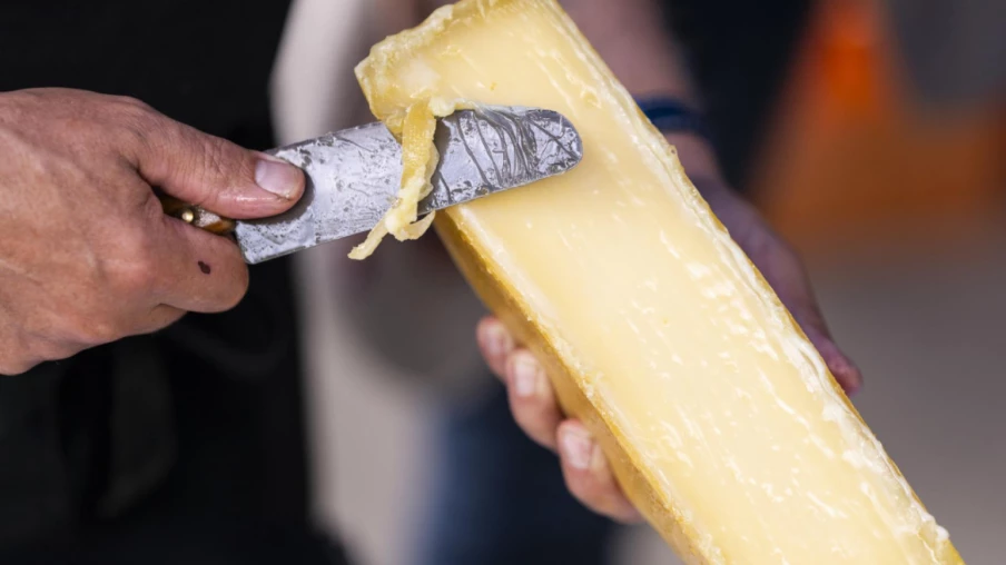 Raclette du Valais AOP : fleuron culinaire et pilier économique (2023)
