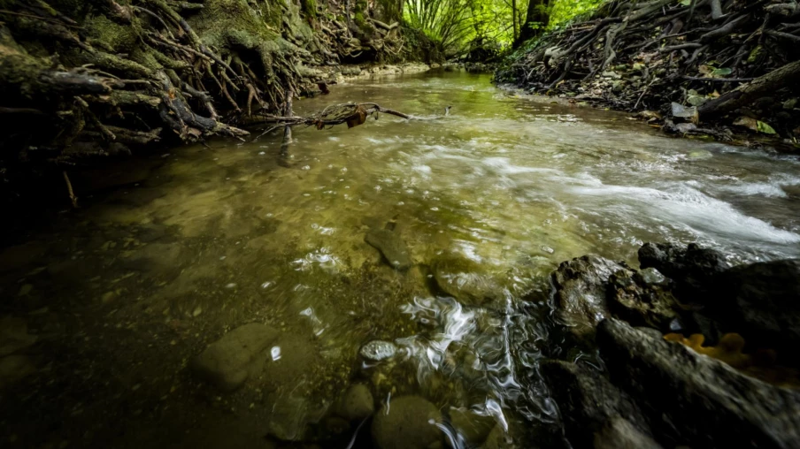 Pollution à Villariaz (FR) : 250 l de lait dans le ruisseau