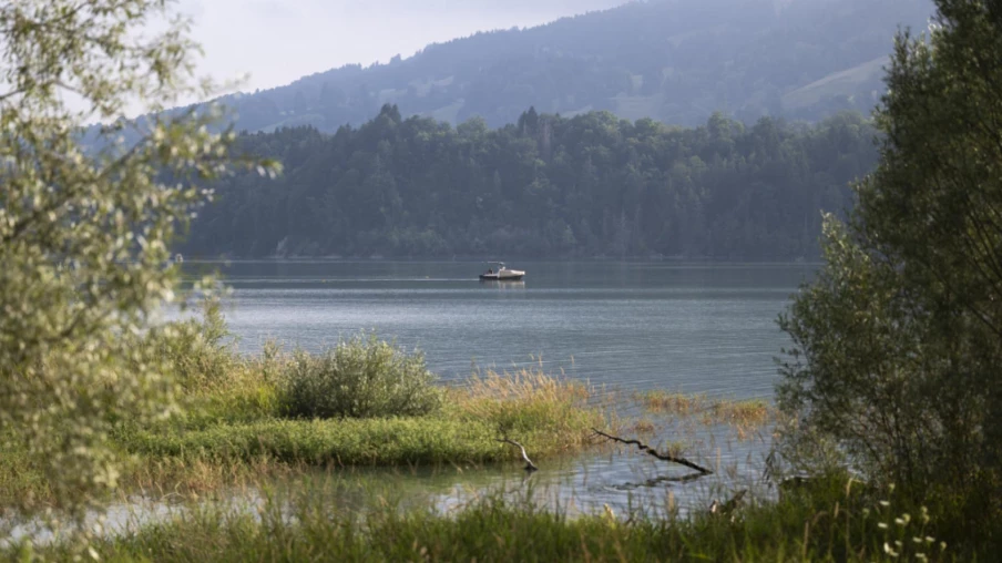 Mère et son fils secourus sur une presqu'île du lac de la Gruyère