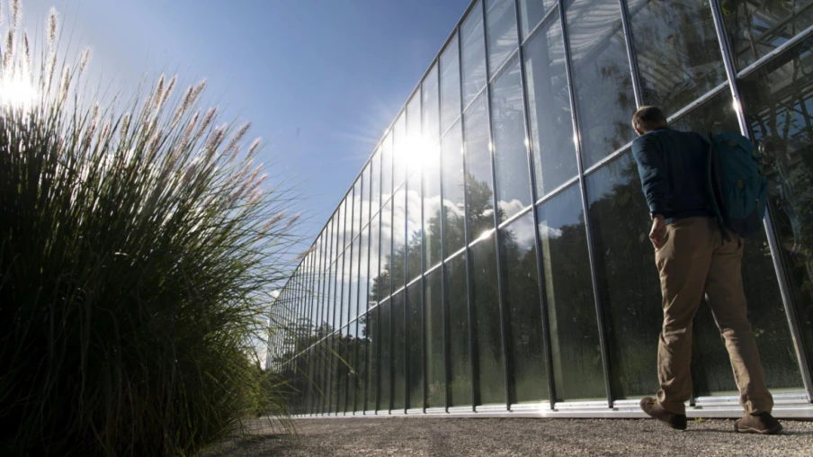 Rétrospective du Musée de l'absurde au jardin botanique de Lausanne