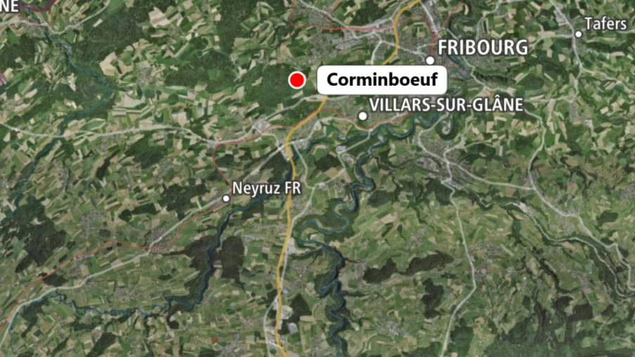 Pollution du ruisseau à Corminboeuf : plusieurs poissons morts