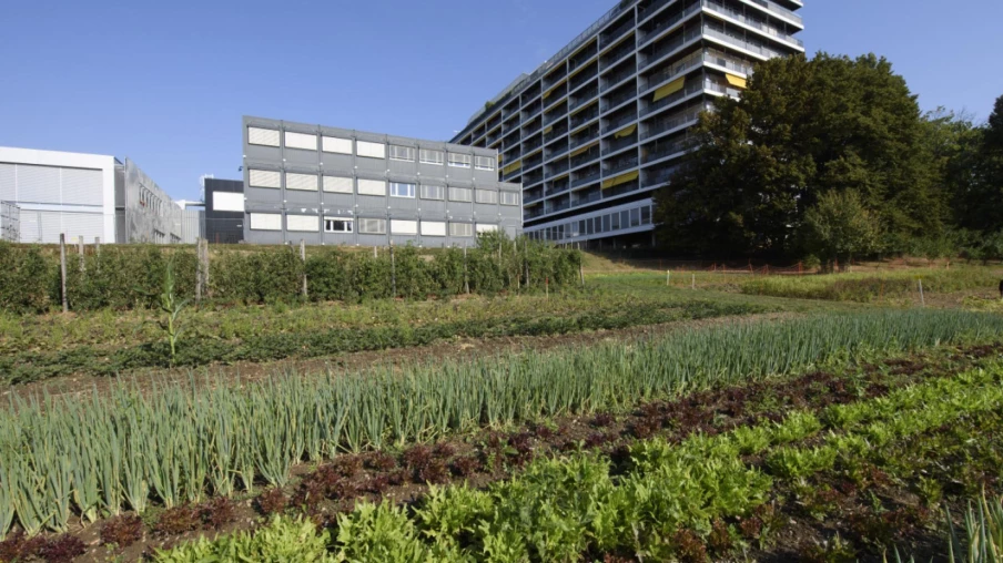 Genève : festival 48 heures de l'agriculture urbaine (24-26 avril)