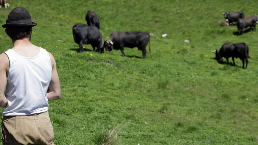 Pénurie de bergers expérimentés dans les alpages