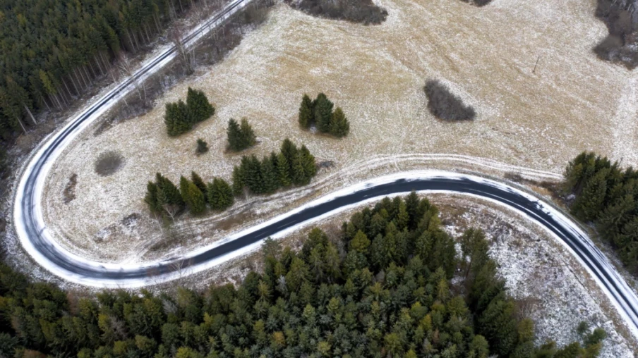 Femme de 58 ans tuée par un ours dans les Bieszczady, Pologne
