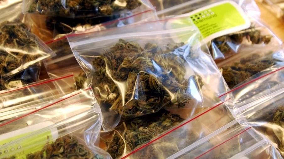 Corsier-sur-Vevey : un jeune interpellé avec plus de 5 kg de cannabis