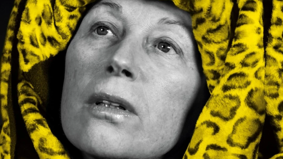 Cindy Sherman signe l'affiche du festival de Locarno sur l'identité