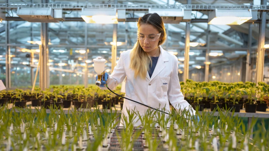 Syngenta : croissance au 1er trimestre portée par l'innovation
