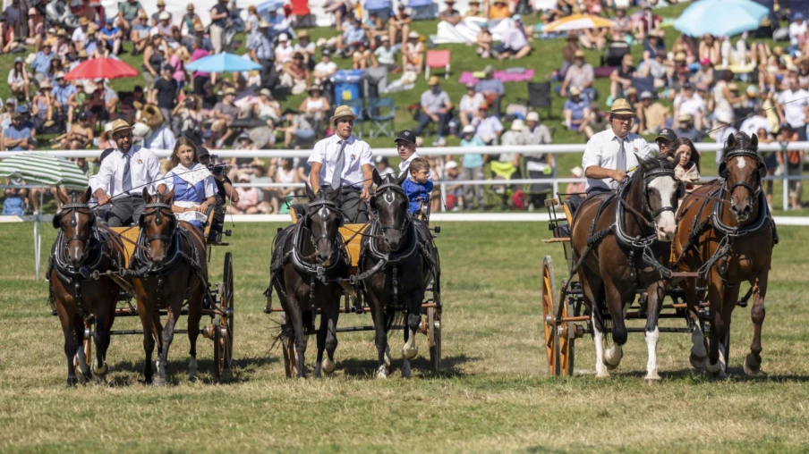 Marché-concours 121e édition : le canton de Berne invité d'honneur
