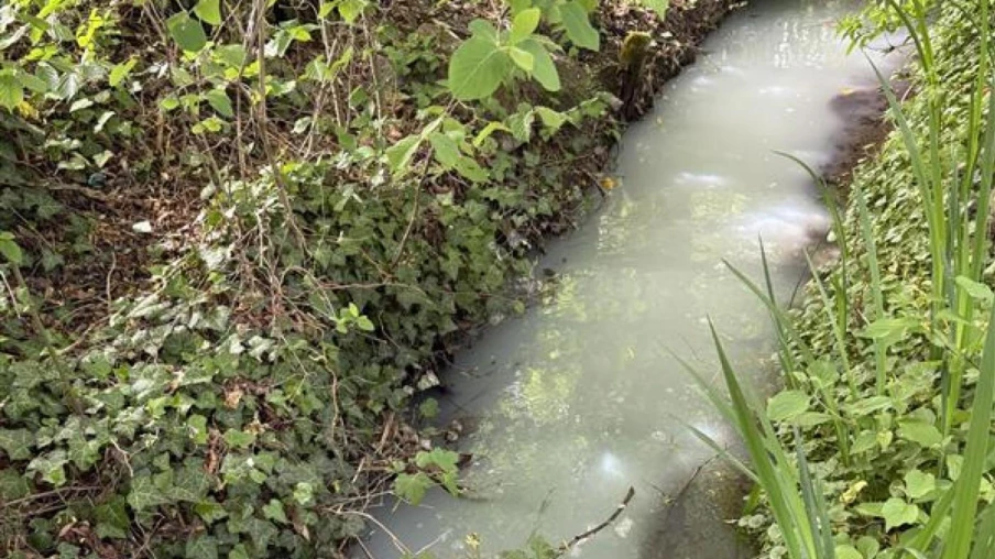 Déversement de lait dans le ruisseau Dybach à Greng, auteur identifié