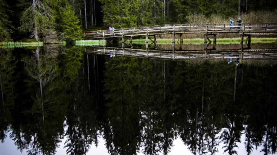 Jura : règles pour protéger faune et flore lors des loisirs