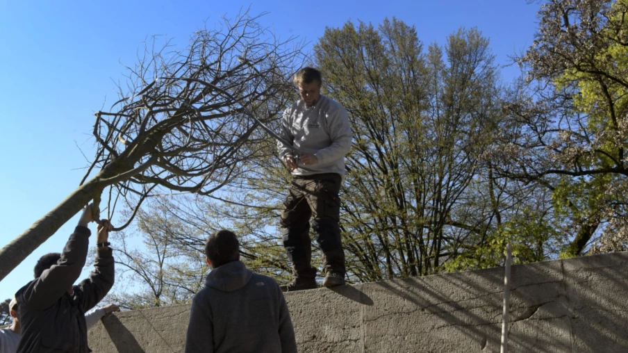 Fribourg : de nouveaux arbres en bacs pour plus de fraîcheur et de convivialité en ville Fribourg : de nouveaux arbres en bacs pour plus de fraîcheur et de convivialité en ville