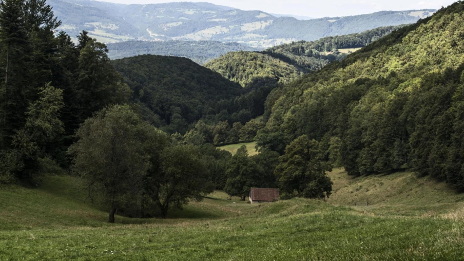Démarche participative pour le parc éolien de la Haute Borne (Jura)