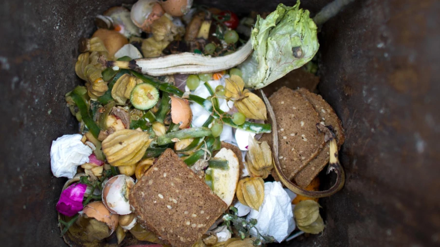 Gaspillage alimentaire en Suisse : bilan mitigé, ménages en cause